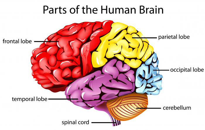 IQ پایین