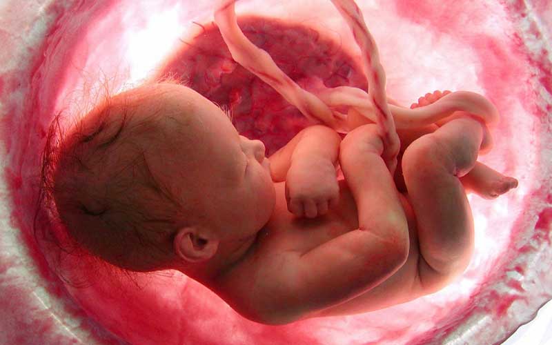  روی سلامت مغز جنین و نوزاد در اوایل زندگی موثر است