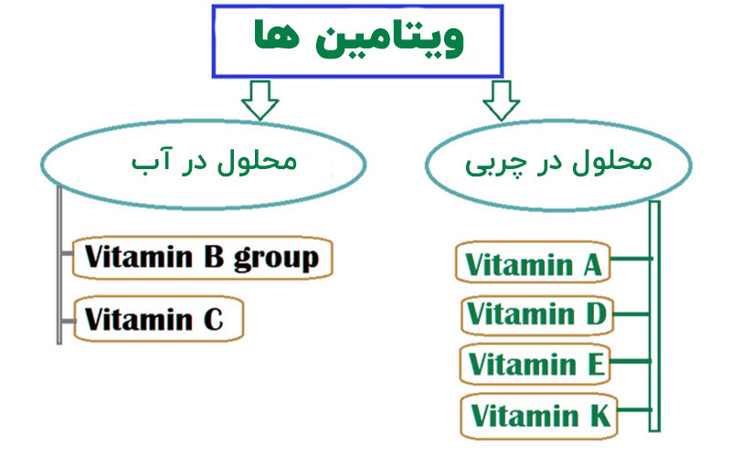 ویتامین های محلول در چربی و آب