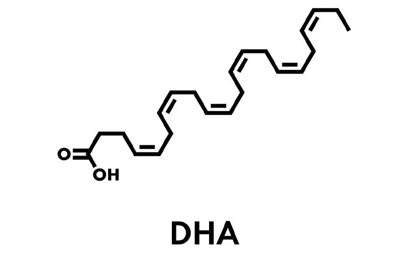 دوکوزاهگزانوئیک اسید (DHA)