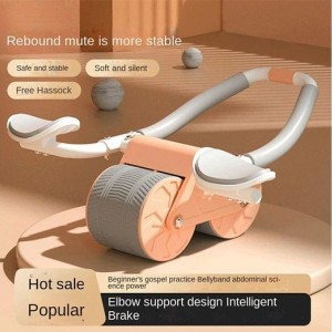 چرخ تمرین شکم مدل ABDOMINAL POLLER WHEEL | اورجینال