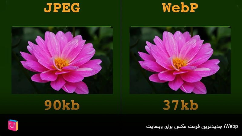  WebP ؛ جدیدترین فرمت عکس برای وبسایت