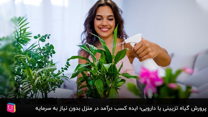 پرورش گیاه تزیینی یا دارویی؛ ایده کسب درآمد در منزل بدون نیاز به سرمایه