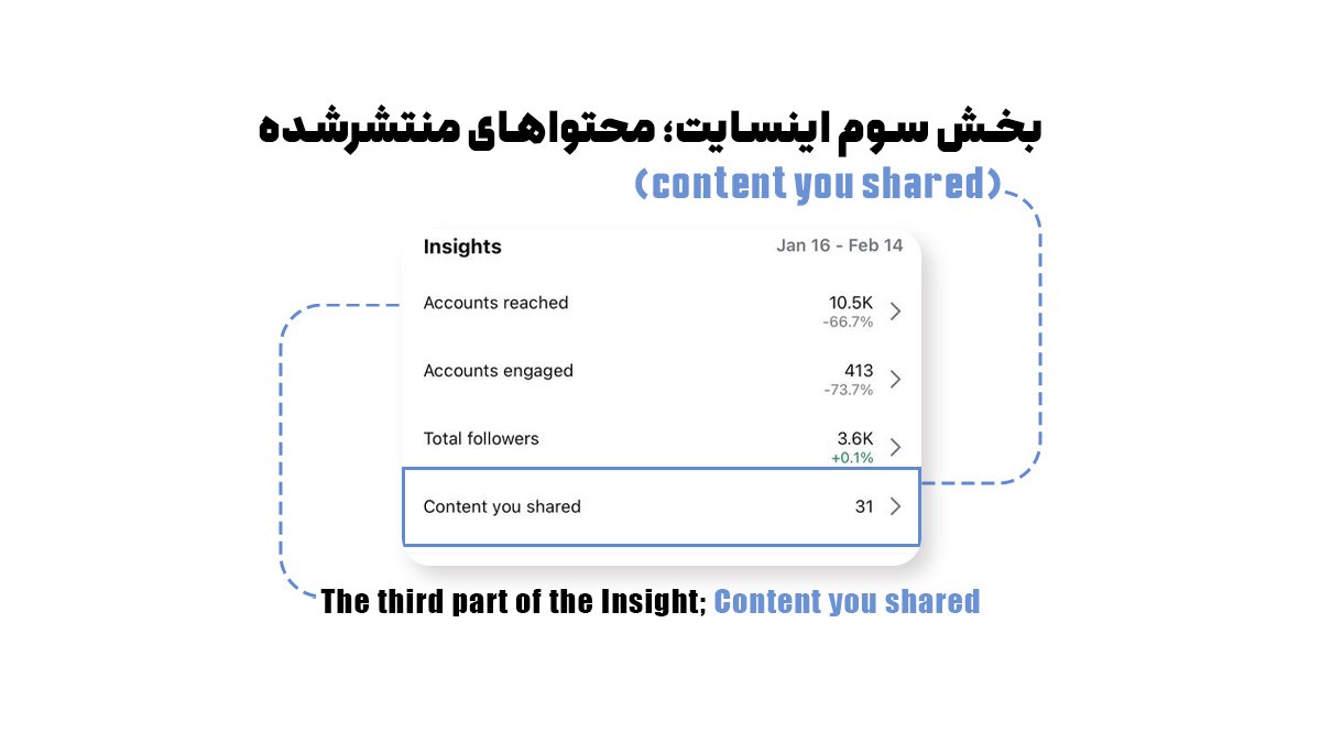 بخش سوم اینسایت؛ محتواهای منتشرشده (content you shared)