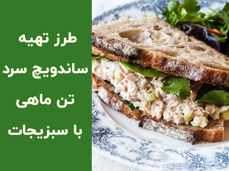 طرز تهیه ساندویچ سرد تن ماهی با سبزیجات | دستور ساده و خوشمزه