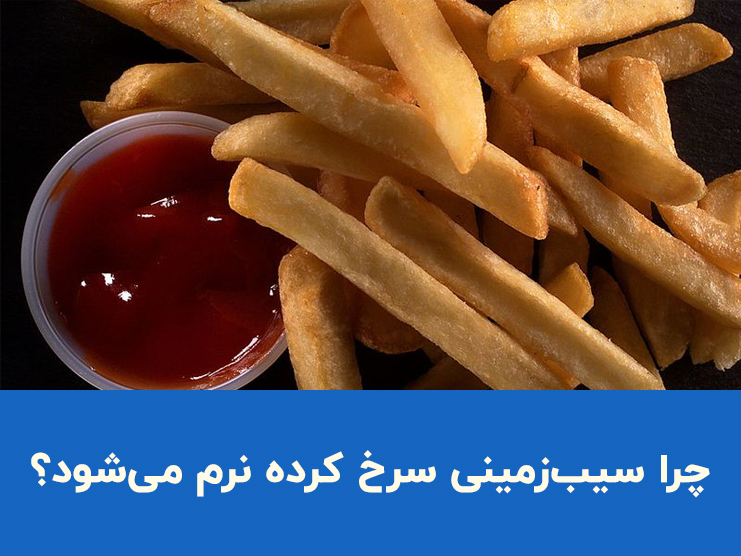 چرا سیب زمینی سرخ کرده نرم می‌شود؟ 3 دلیل رایج و راه‌حل ترد شدن آن