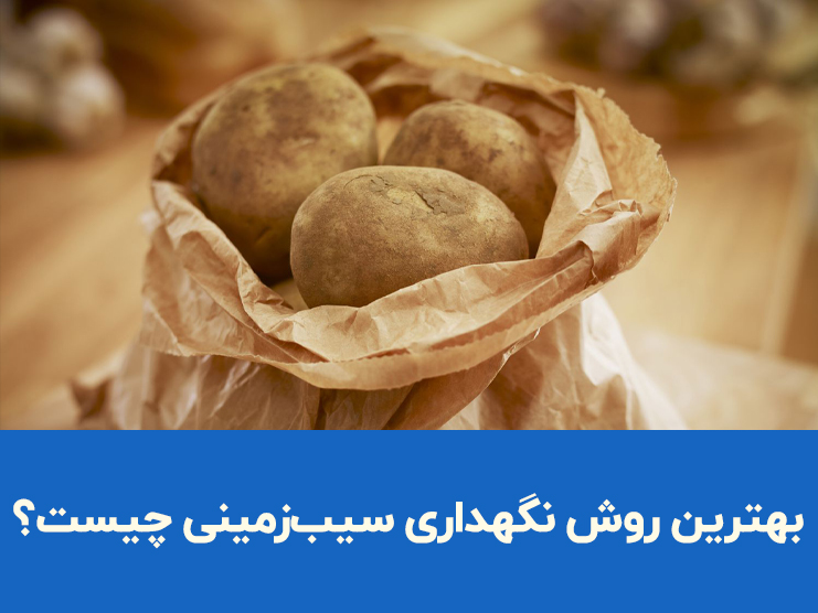 بهترین روش نگهداری سیب زمینی چیست؟ راهنمای نگهداری طولانی مدت در منزل
