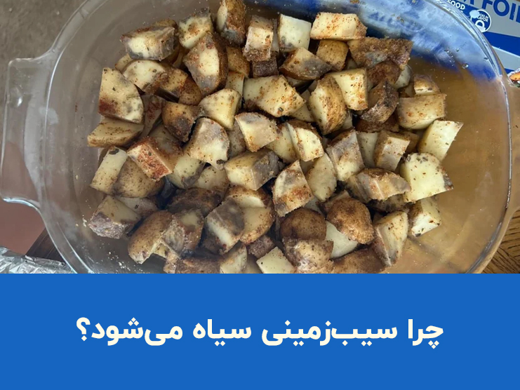 چرا سیب زمینی سیاه می‌شود؟ علت سیاه شدن بعد از پوست کندن، پخت و فریز کردن