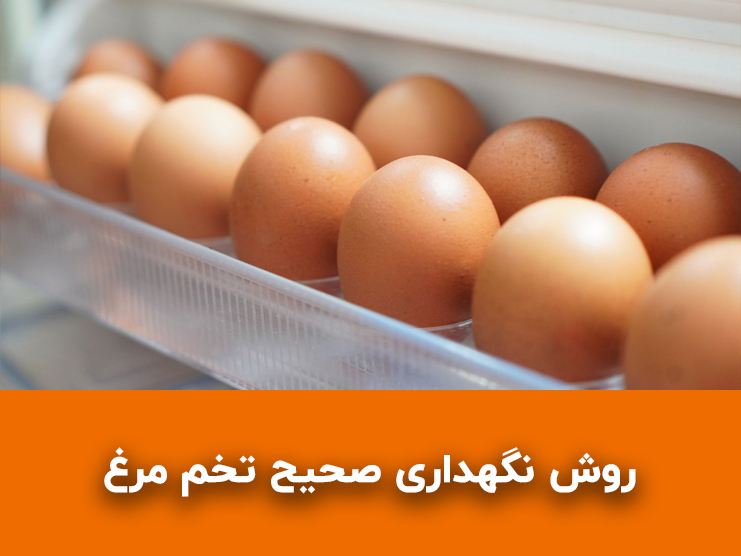 نگهداری صحیح تخم مرغ؛ از یخچال و فریزر تا تخم مرغ پخته و ترک خورده