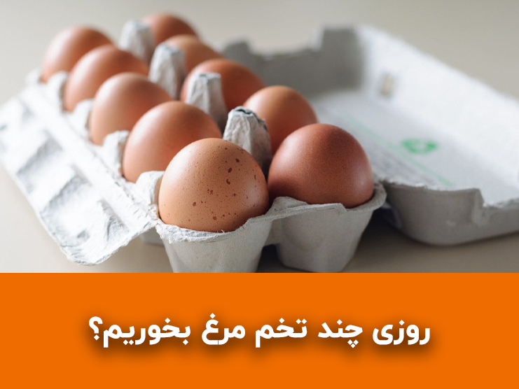 روزی چند تخم مرغ بخوریم؟ مقدار مجاز مصرف برای افراد عادی و ورزشکارها