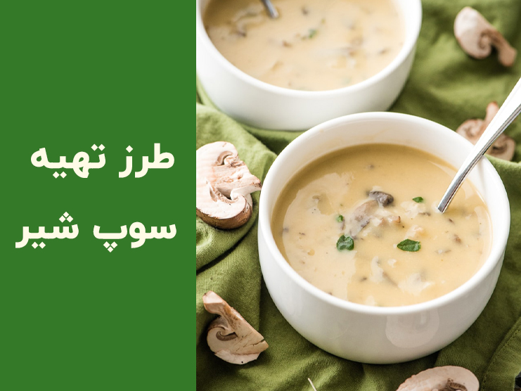طرز تهیه سوپ شیر و قارچ خامه‌ای به سبک رستورانی | راز خوشمزه شدن سوپ شیر