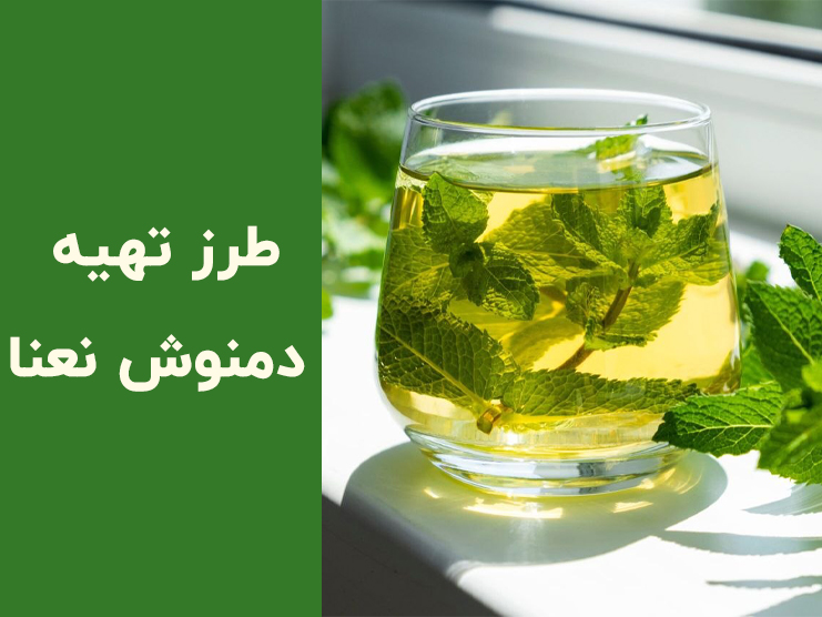 طرز تهیه دمنوش نعنا در خانه | آموزش ۳ دمنوش نعنا و عسل، آویشن و زنجبیل با خواص کامل