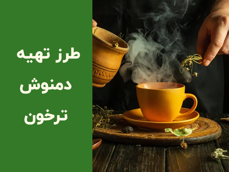 طرز تهیه دمنوش ترخون خشک؛ نوشیدنی خوش‌عطر برای رفع بوی بد دهان و بهبود هضم
