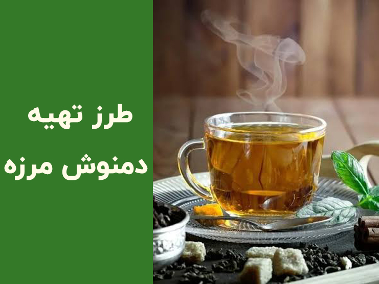 طرز تهیه دمنوش مرزه خشک؛ خواص درمانی، زمان مصرف و روش دم کردن اصولی
