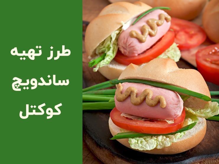 طرز تهیه ساندویچ کوکتل خوشمزه و سریع؛ روش‌هایی برای درست کردن یک ساندویچ متفاوت