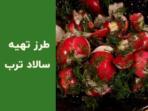 طرز تهیه سالاد ترب و شوید؛ آموزش مرحله‌به‌مرحله + پاسخ به سوالات متداول
