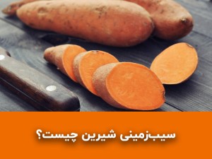 سیب زمینی شیرین چیست؟ تفاوت سیب زمینی شیرین با سیب زمینی معمولی و بهترین کاربردهای آن