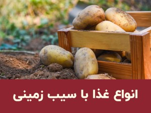 انواع غذا با سیب زمینی؛ معرفی بهترین غذاها، روش نگهداری و نکات مهم آشپزی