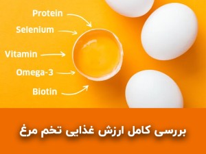 یک تخم مرغ چند کالری دارد؟ بررسی کامل ارزش غذایی زرده، سفیده و انواع پخت