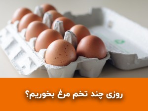 روزی چند تخم مرغ بخوریم؟ مقدار مجاز مصرف برای افراد عادی و ورزشکارها