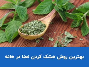 بهترین روش خشک کردن نعنا در خانه؛ آموزش مرحله‌به‌مرحله بدون سیاه شدن