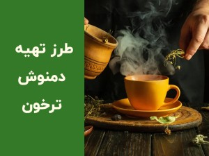 طرز تهیه دمنوش ترخون خشک؛ نوشیدنی خوش‌عطر برای رفع بوی بد دهان و بهبود هضم