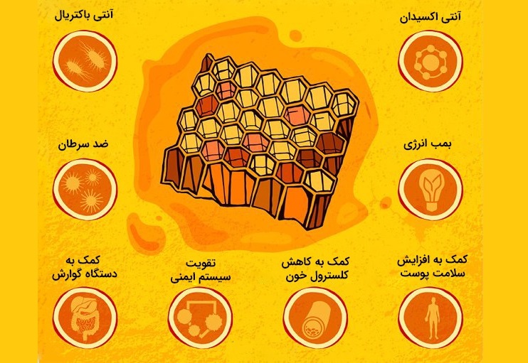 ۶  خاصیت شگفت انگیز عسل طبیعی