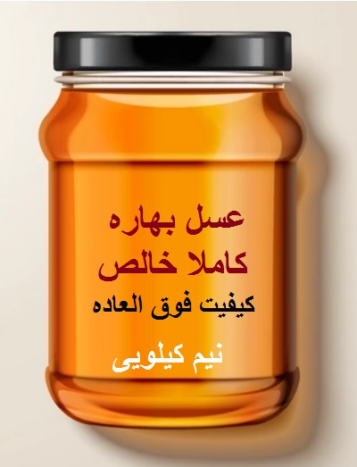 عسل بهاره نیم کیلویی