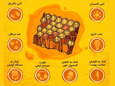 ۶  خاصیت شگفت انگیز عسل طبیعی