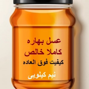 عسل بهاره نیم کیلویی