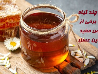 عسل چهل‌گیاه؛ معرفی علمی، خواص و روش مصرف