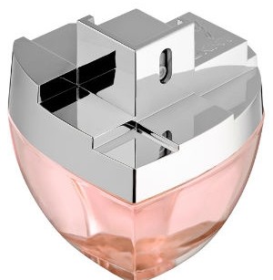 عطر زنانه  مای ان وای  برند دی کی ان وای  ( DKNY -  My NY )