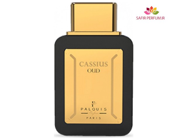 عطر و ادکلن مردانه کاسیوس عود برند پالکوییس  (  PALQUIS  -  CASSIUS OUD    )