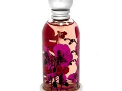 عطر زنانه خسوس دل پوزو – هالوین کیس (پشن )  (Jesus del pozo – Halloween (passion )
