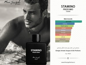 عطر و ادکلن مردانه استامینو پرفومو برند مارک جوزف  (   MARC JOSEPH  -  STAMINO PORFUMO  )