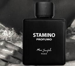 عطر و ادکلن مردانه استامینو پروفومو برند مارک جوزف  (   MARC JOSEPH  -  STAMINO PROFUMO  )