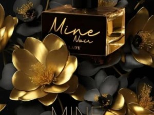 عطر و ادکلن زنانه ماین نویر لیدی برند مارک جوزف  ( MARC JOSEPH -  MINE NOIR LADY     )