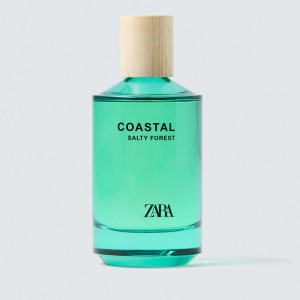 عطر و ادکلن مردانه کوستال سالتی فارست برند زارا  (  ZARA   -  COASTAL SALTY FOREST   )