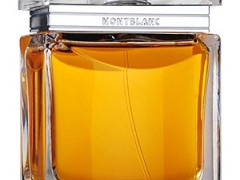 عطر مردانه مون بلان – هوم اکسپشنل (mont blanc - Homme Exceptionnel)