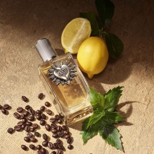 عطر و ادکلن مردانه دیوشن پور هوم پارفوم برند دی اند جی  (  DOLCE & GABBANA   -  DEVOTION POUR HOMME PARFUM      )