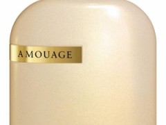 عطر مردانه و زنانه د لایبرری اوپوس 8  برند آموآژ  ( AMOUAGE   - The Library Collection Opus VIII  )