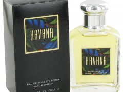 عطر مردانه  هاوانا  برند آرامیس  ( Aramis   - Havana  )