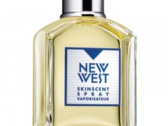 عطر مردانه  نیو وست  برند آرامیس  ( Aramis   - New West for Men  )