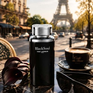 عطر و ادکلن مردانه بلک سول برند تد لپیدوس   ( TED LAPIDUS  -  BLACK SOUL     )