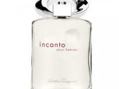 عطر مردانه اینکانتو پور هوم  برند سالواتوره  فراگامو  ( Salvatore Ferragamo -   Incanto Pour Homme  )