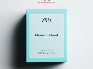 mimosa cloud zara