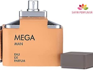 عطر و ادکلن مردانه مگا برند فلاویا ( FLAVIA - MEGA MAN )