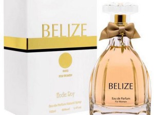 عطر و ادکلن زنانه بلیز  برند الدی روی  ( ELODIE ROY  -   BELIZE   )