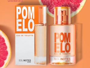 عطر و ادکلن زنانه و مردانه پوملو برند سولی نوتز  (  SOLINOTES  -  POMELO    )