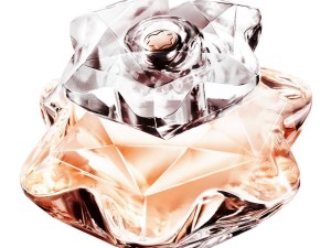 عطر و ادکلن زنانه لیدی امبلم برند مون بلان  ( Montblanc - Lady Emblem )